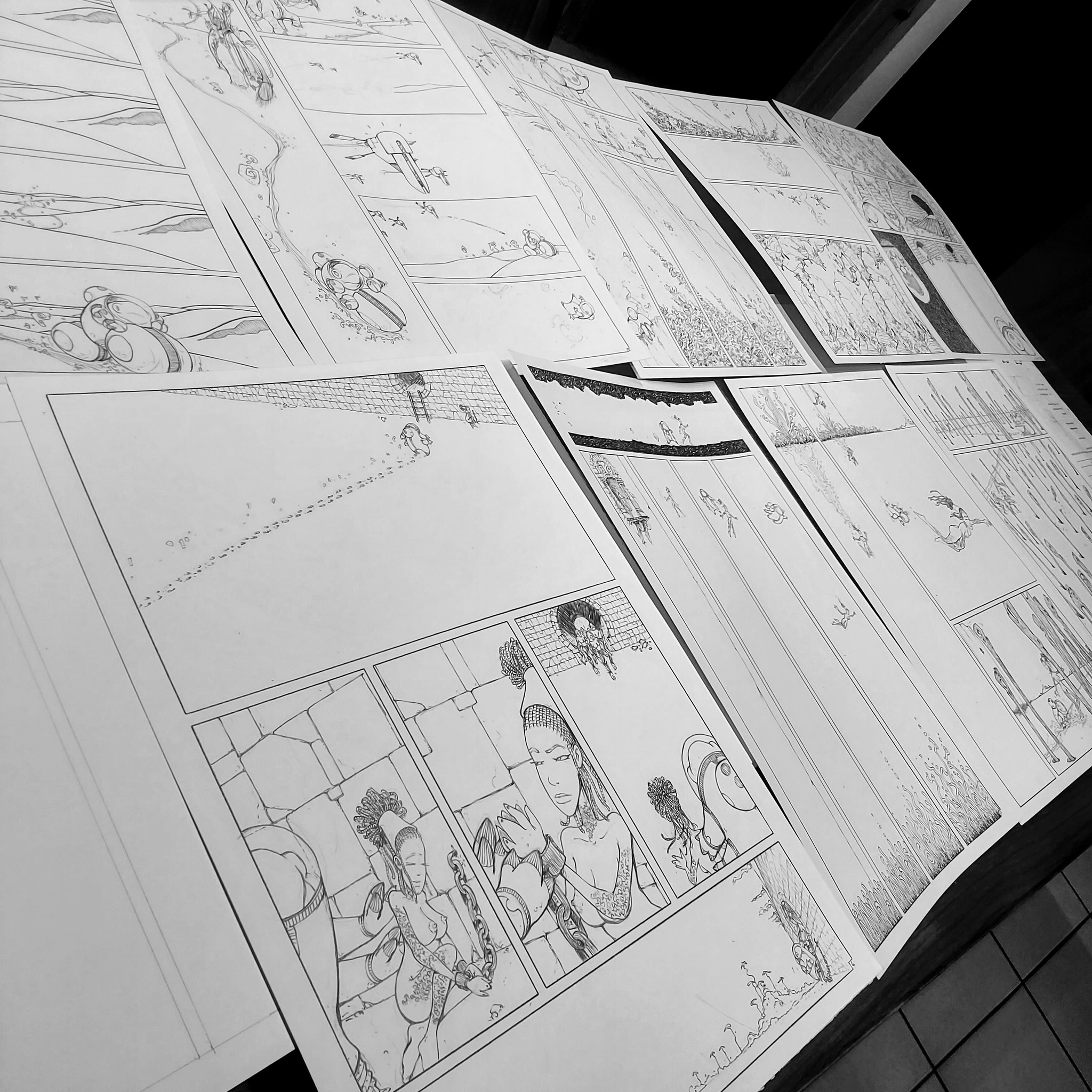 bloom porte reve 8.jpg, janv. 2026